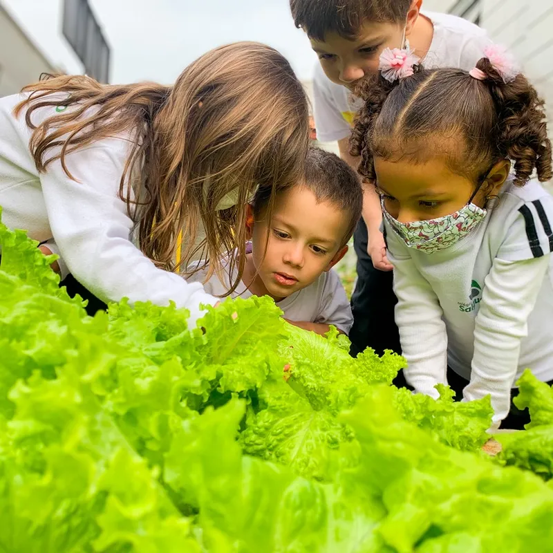 Educação Infantil teve Curso de Férias — Colégio Salgueiro
