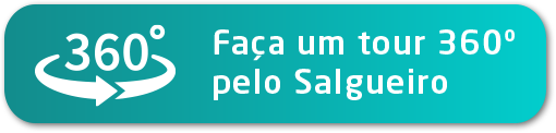 Colégio Salgueiro