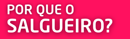 Colégio Salgueiro